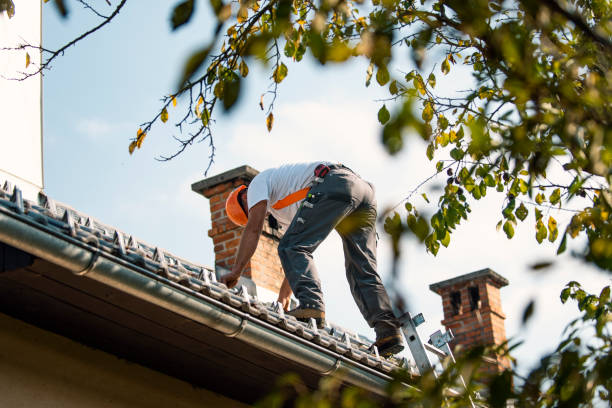 Best Metal Roofing Contractor  in Woodville, AL