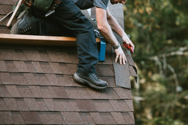 Best Gutter Installation and Roofing  in Woodville, AL
