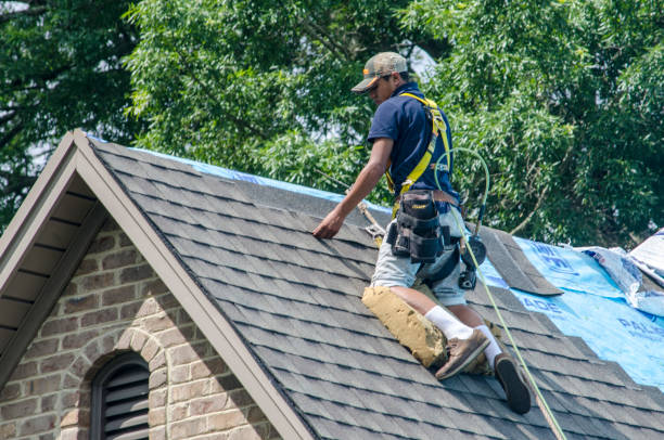 Best Roof Gutter Cleaning  in Woodville, AL